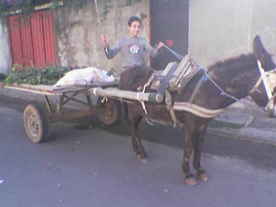 ne rigole pa surtout pa